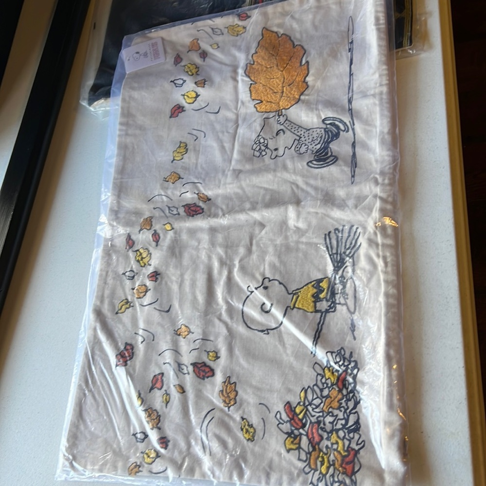 Peanuts Fall Pillow cover